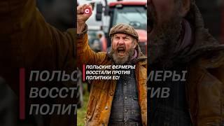 Польские фермеры восстали против политики ЕС! #польша #протесты #политика #фермеры #ес #новости