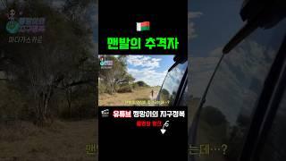 아프리카 맨발의 추격자…? 쫓아오는 이유는..ㄷㄷ #travelshorts #세계여행 #여행쇼츠 #africatravels #마다가스카르 #아프리카여행 #madagascar