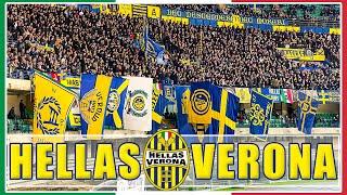 Hellas Verona: Эмоциональный Итальянский Футбол / Верона / Италия / Серия А / Взгляд с трибуны #72