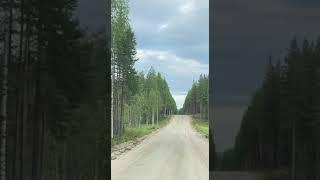 Терапия путешествиями.Карельские щепки - идеальное решение!