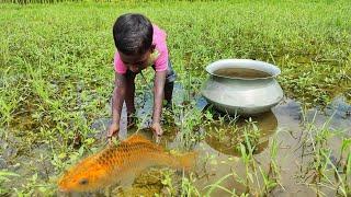 Hand Fishing Video ~ Smart Boy Hunting Big Carp Fish By Hand In Beautiful Place Rain Water