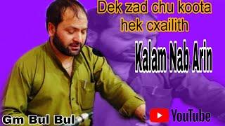 DAK ZAD CHUS KOOTA HEK CXAILITH//TRENDING SONG BY GM BULBUL//#darmuneeza.LYRIC NAB ARIN.