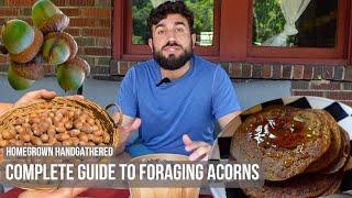 How to Sustainably Forage and Cook Acorns (Acorn Flour Pancakes)