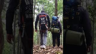 Trecking Camping ️ Fearless Adventures #shorts #campings