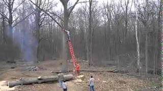 Couper une branche d'arbre Fail