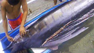 WOW! Huge Sailfish Catch - Traditional Fishing in Philippines