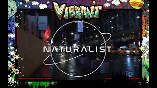 The Vibe :: Naturalist :: House Music for the soul :: 5/6/2021