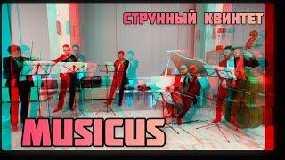 Струнный квинтет MUSICUS