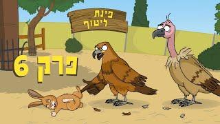 ניר וגלי פינת ליטוף - גרוניך