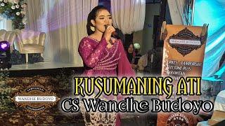 KUSUMANING ATI Ardia Diwang Campursari Wandhe Budoyo Live Kedungwaru Tulungagung - Ayla Audio