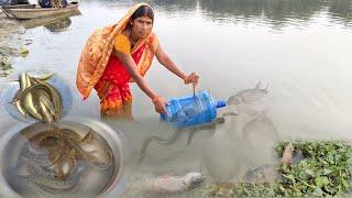 unique bottle fish catching videos in river ! Big bami fish catching with water bottle by river