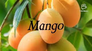 SCIENTIFIC NAME : MANGO