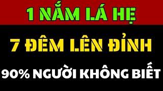 Bí Quyết Sinh Lý Từ Lá Hẹ – Quý Ông Dùng Là Khỏe, Sung, Không Biết Mệt!