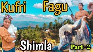 Fagu valley | kufri adventure park | shimla tourist places | kufri snowfall today | shimla snowfall