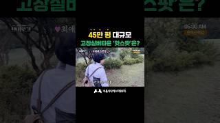 서울시니어스 고창타워 입주자가 생각하는 웰파크시티 '최애 스팟'은? #고창실버타운