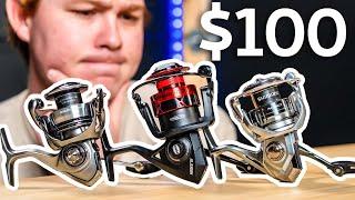 Best Spinning Reel for $100 in 2024 | Nasci VS Exceler LT VS Fierce IV