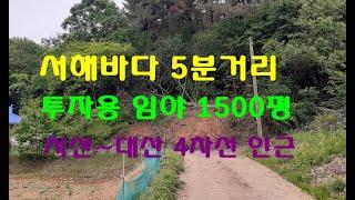 서해바다까지 차로 5분 거리의 투자용 임야 1500평 평당10만[계약완료]