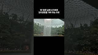 싱가포르 창이공항에 꼭 맑은 날 가야 하는 이유