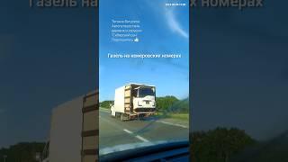 100 и 1 способ перегнать машину из Владивостока #перегон #приморье #хонда #трасса #дальнобой #газель