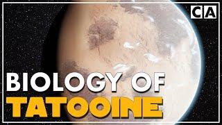 The Biology of Tatooine | Speculative Biology