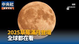 2025草莓滿月登場 全球都在看｜中央社影音新聞