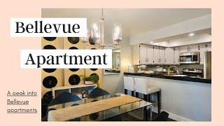 Bellevue Apartment Tour | 西雅图最火地区的公寓房有多大？多少钱？| 西雅图买房 | 贝尔维尤买房 | 西雅图房市