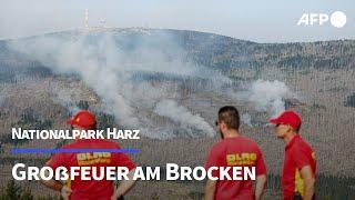 Großfeuer am Brocken im Nationalpark Harz | AFP