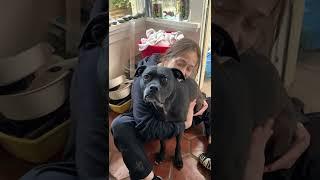 Fiona Apple – Happy Sunday 2022-Mar-20 (My dog hates toast)