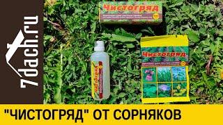 Как избавиться от сорняков у двора и на участке с помощью препарата "Чистогряд" - 7 дач