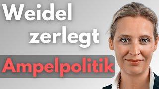 ⭐SUPER: ALICE WEIDEL zerlegt Ampelpolitik