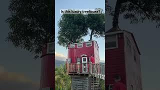 Is this luxury treehouse?