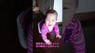 陽葵里(ひまり)ちゃんと妹の紬希(つむぎ)ちゃん。ハイハイてネェネェのところに#陽葵里ちゃん#陽葵里#妹#紬希ちゃん#紬希#ひまりちゃん#ひまり#つむぎちゃん#つむぎ#ハイハイ#9ヶ月#休日#ネェネェ