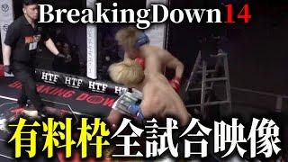 BreakingDown14 全試合映像公開【ブレイキングダウン14】【朝倉未来】