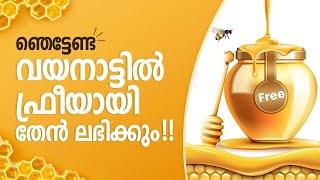 ഞെട്ടണ്ട വയനാട്ടിൽ ഫ്രീയായി തേൻ ലഭിക്കും !! | BEECRAFT HONEY | BEECRAFT HONEY MUSEUM