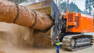 Biggest Tree Processing & Destroy Machines Working - Dangerous Huge Stump Removal Log Splitter