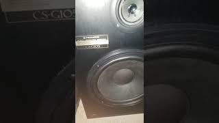 (Pioneer cs-g105 speakers goodwill find of 2020)