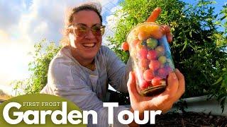 First Frost Garden & High Tunnel Tour (The Greenhouse Conversion is COMPLETE)