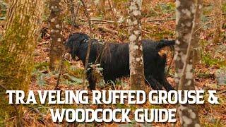 Traveling Ruffed Grouse & Woodcock Guide | The Flush: Season 15, Episode 8