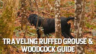 Traveling Ruffed Grouse & Woodcock Guide | The Flush: Season 15, Episode 8