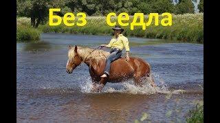 Полезна или вредна езда без седла.
