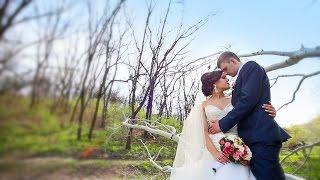 Яна и Саша. Wedding Hightlights