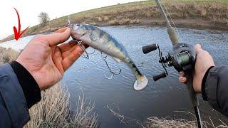 Tidal River Pike Fishing! UK Lure Fishing