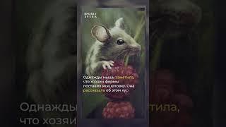 Очень мудрая притча  Мышь  Короткая притча с глубоким смыслом #shorts #притчи #мотивация