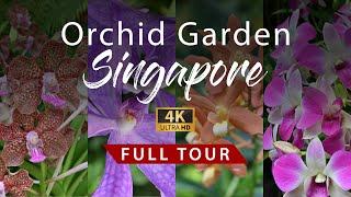 National Orchid Garden Singapore | Full Tour | 4K