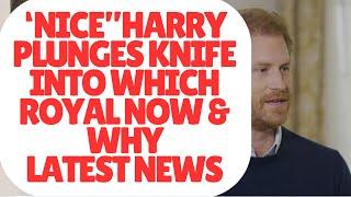 HARRY PLUNGES KNIFE INTO WHICH SENIOR ROYAL AGAIN - WHY? #princeharrry #royal #meghan