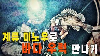 겨울 시즌 핫템" 우럭 미노잉/ 계류 미노우를 바다에서 던져 본다~ㅋㅋ