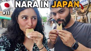 24 Hours in Nara, Japan  (World’s Most beautiful city?)