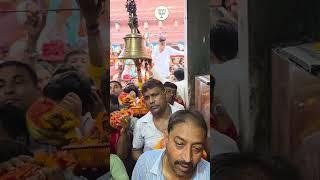 #राम #दिनेश_यादव #मां_के_दरबार_में#politics #news #bhojpuri #song #bhojpurimusic