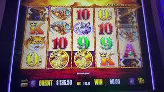Que ganamos con $2,000 en bufalo gold en san Manuel casino 