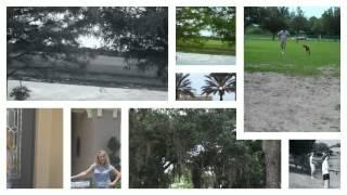 Lakewood Ranch Real Estate Agent